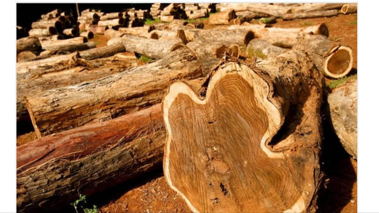 What is best quality teak wood ? - TimberCraft